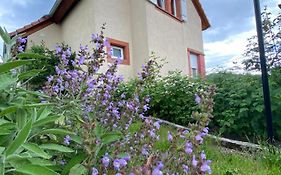 Le Refuge De L'Ours